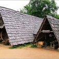 Guédelon : les charpentiers