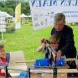 l'Outil en Main à la Fête du Parc des Moulins