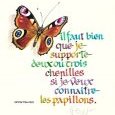 Chenilles & papillons