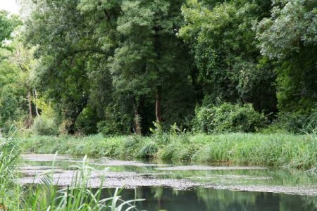 au bord de l'eau {JPEG}