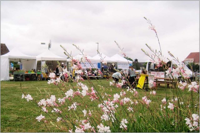 l'Outil en Main à la Fête du Parc des Moulins l'Outil en Main à la Fête du Parc des Moulins